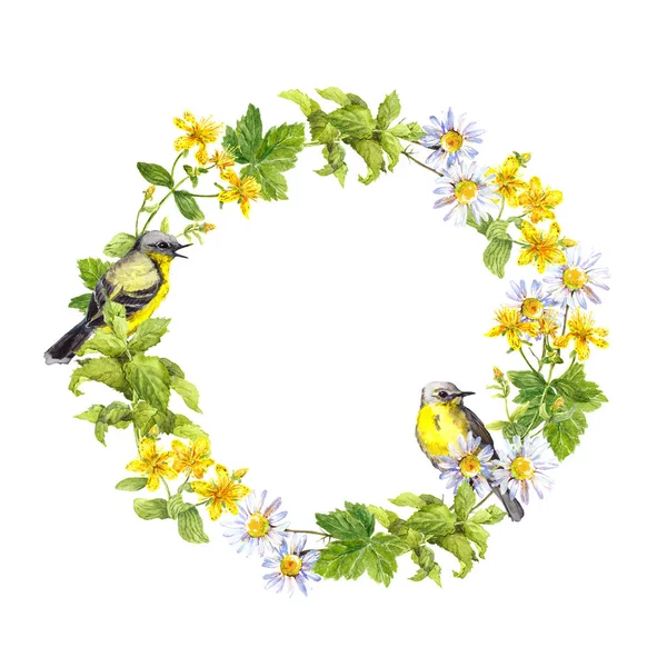 Bordo di ghirlanda - fiori di primavera, erbe selvatiche, erba. cornice cerchio acquerello — Foto Stock
