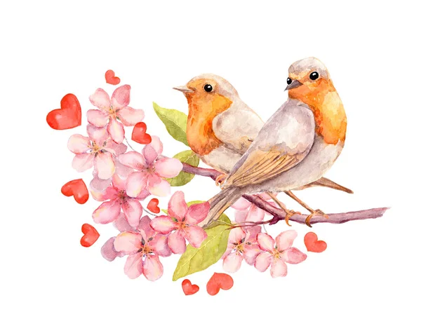 Vogels op bloeiende tak met bloemen. Aquarel — Stockfoto