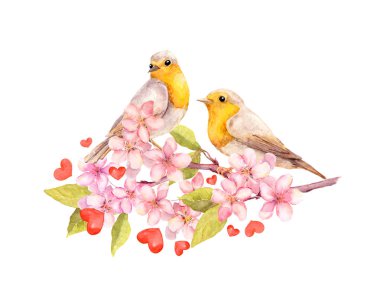 Çiçeği şube çiçekli kuşlarda. Suluboya