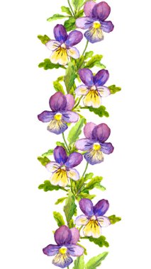Botanik boyalı Menekşe viola çiçekler ile sorunsuz çiçek şerit sınır