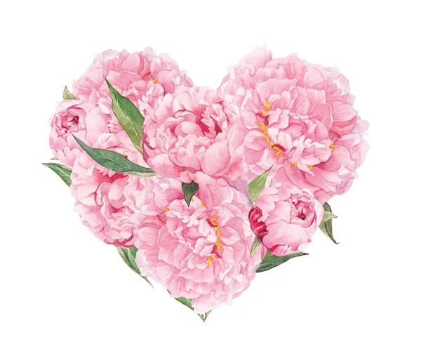 花的心-粉红牡丹花朵。水彩的情人节，婚礼 — 图库照片