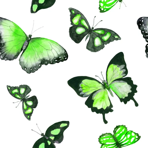 Green butterflies. Seamless pattern. Watercolor — Stock Photo, Image