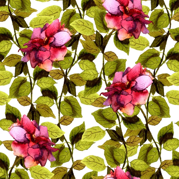 无缝花模板与紫色的玫瑰和绿色叶子 — 图库照片