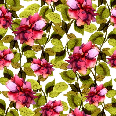 Sorunsuz çiçek zemin ile canlı parlak gül çiçek