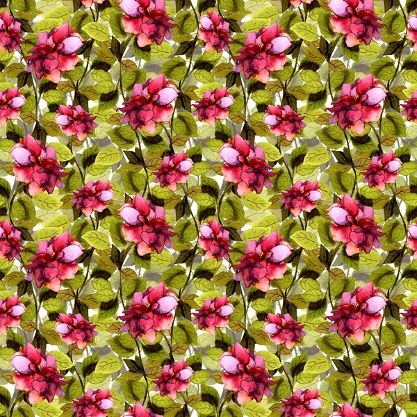 Patrón floral brillante sin costuras con acuarela rosa flor —  Fotos de Stock