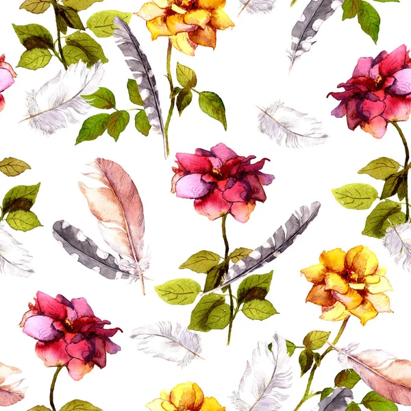 Rosas y plumas. Patrón sin costuras. Acuarela —  Fotos de Stock