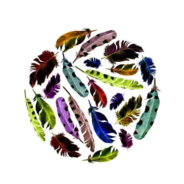 Feathers. Circle pattern. Watercolor — Stock Photo, Image