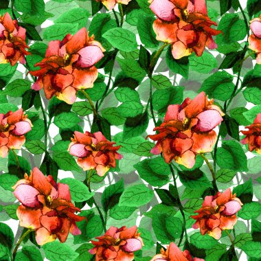 Sorunsuz çiçek zemin ile canlı parlak gül çiçek