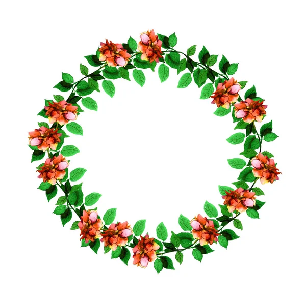 Floral cirkel garland krans met levendige aquarel geschilderd — Stockfoto