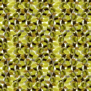 El çizimi ile-sorunsuz arka plan yeşil yaprakları