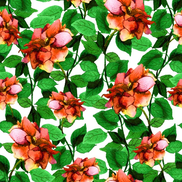 Sorunsuz çiçek zemin ile canlı parlak gül çiçek