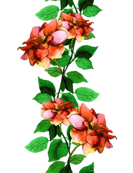 Απρόσκοπτη floral συνοριακή γραμμή με ακουαρέλα τριαντάφυλλα πολύχρωμα λουλούδια — Φωτογραφία Αρχείου