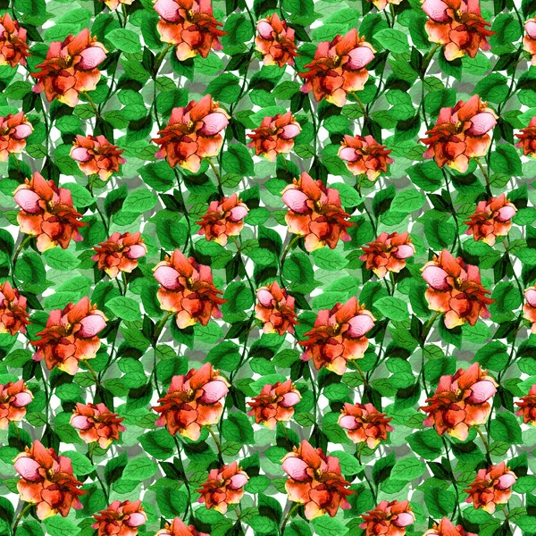 Fondo floral inconsútil con flor rosa colorida pintada a mano —  Fotos de Stock