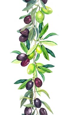 Zeytin ağacı dalları. Suluboya sınır şerit