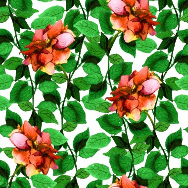 Sorunsuz çiçek zemin ile canlı parlak gül çiçek