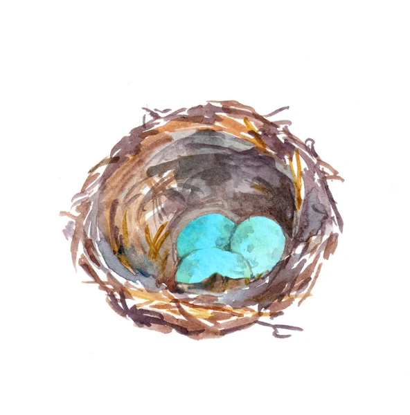 Πουλιά φωλιάζουν με μπλε αυγά. Vintage ακουαρέλα — Φωτογραφία Αρχείου