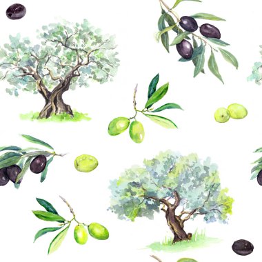 Zeytin dalı, ağaçlar - zeytin seamless modeli. Suluboya