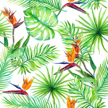 Tropikal yaprak, egzotik çiçekler. Sorunsuz orman desen. Suluboya