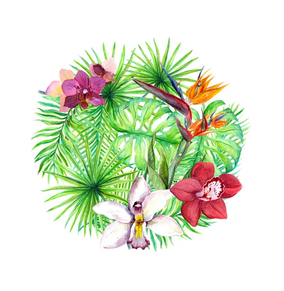 Tropical leaves, exotic flowers. Circle background. Watercolor