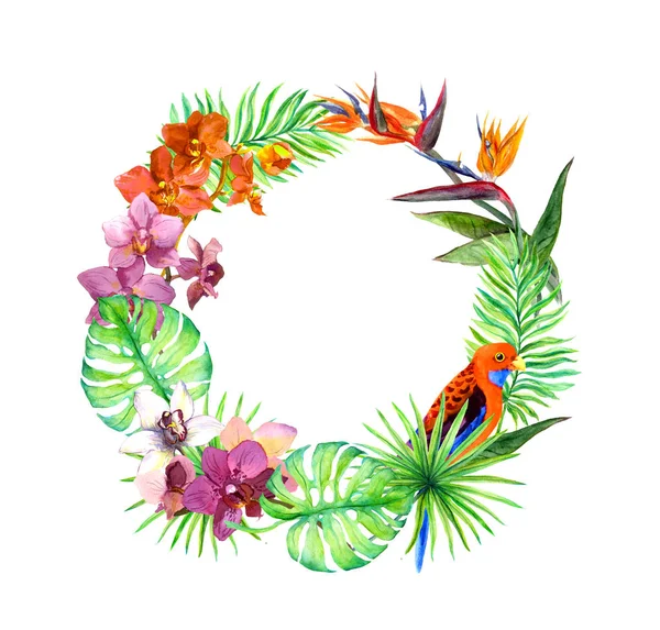 Tropical leaves, exotic birds, orchid flowers. Wreath frame. Watercolor — Stock Photo, Image