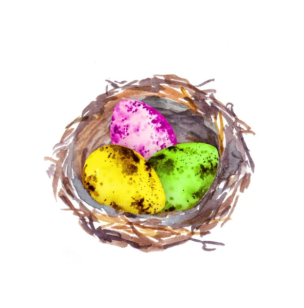 Гнездо с цветными пасхальными яйцами. Акварель — стоковое фото