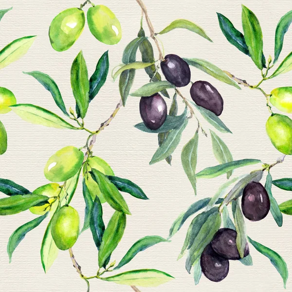 Olives branches d'olivier. Modèle sans couture. Aquarelle — Photo