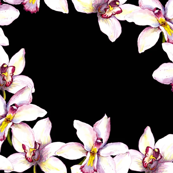 Kontrast schwarze Karte - weiße Orchideenblume. Handgemalte Aquarellzeichnung — Stockfoto