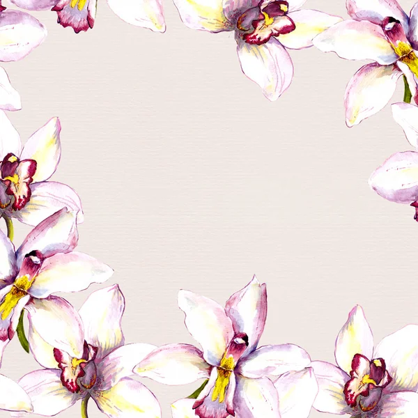 Blommig beige bakgrund med vit orkidé blomma. Handmålade aquarell ritning — Stockfoto