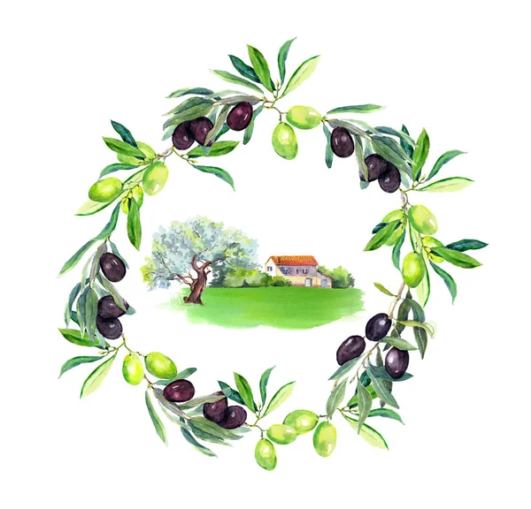 Branche d'olivier, olivier, ferme provençale rurale en Provence, France. Une couronne ronde. Aquarelle — Photo