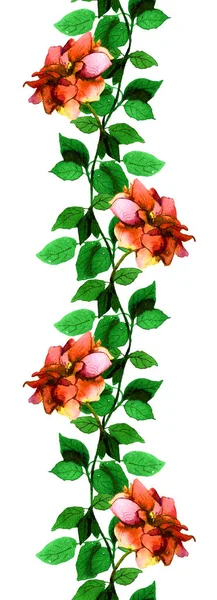 Sömlös blommig banner remsa med hand målade färgstarka rosor blommor — Stockfoto