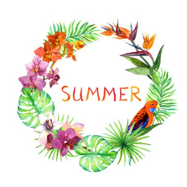 Tropikal, egzotik kuşlar, orkide çiçek bırakır. Çiçek çelenk. Suluboya