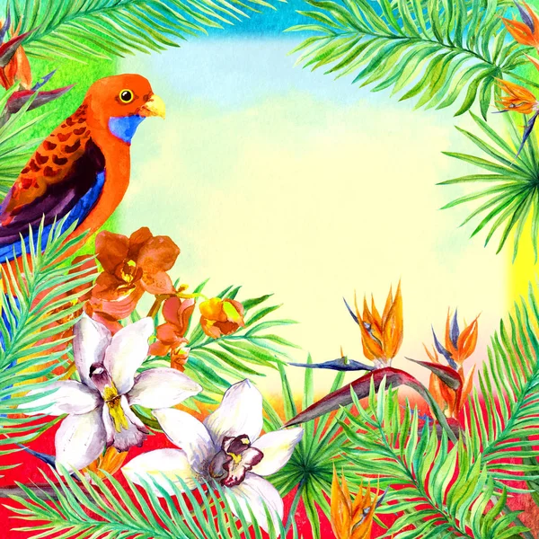 Τροπικά φύλλα, παπαγάλος εξωτικό πουλί, ορχιδέα λουλούδι. Ακουαρέλα κάρτα. — Φωτογραφία Αρχείου