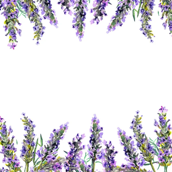 Lavender flowers. Watercolor frame — Stock Photo, Image