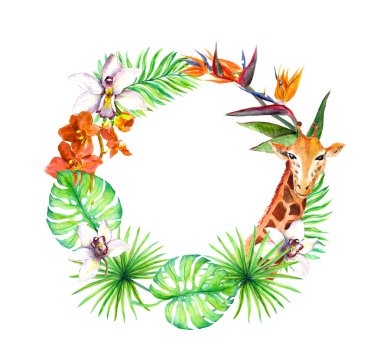 Tropikal yaprak, egzotik zürafa hayvan, orkide çiçekleri. Çelenk çerçeve. Suluboya