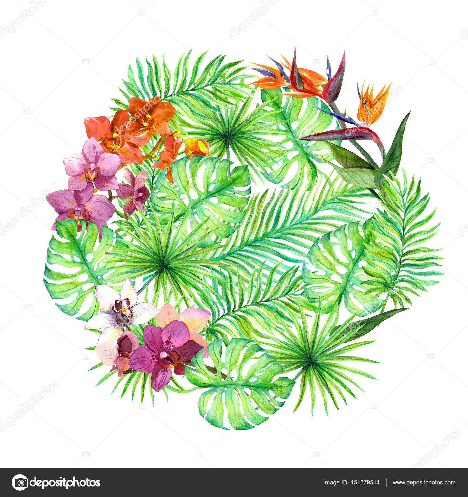 Foglie tropicali e fiori esotici Fondo rotondo Acquerello — Foto di zzzorikk