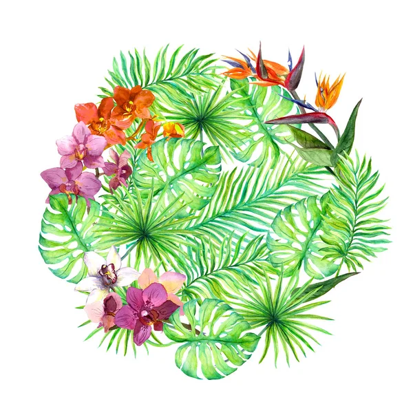Tropische Blätter, exotische Blumen. runder Hintergrund. Aquarell — Stockfoto