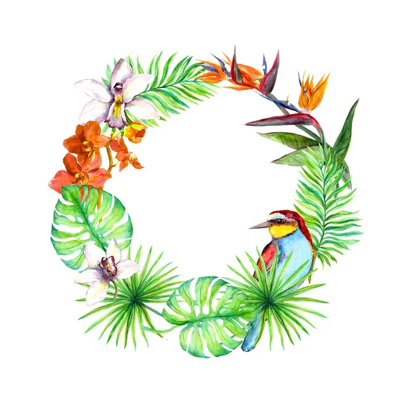 Tropiska löv, exotisk fågel, orkidé blommor. Blommig krans. Akvarell — Stockfoto