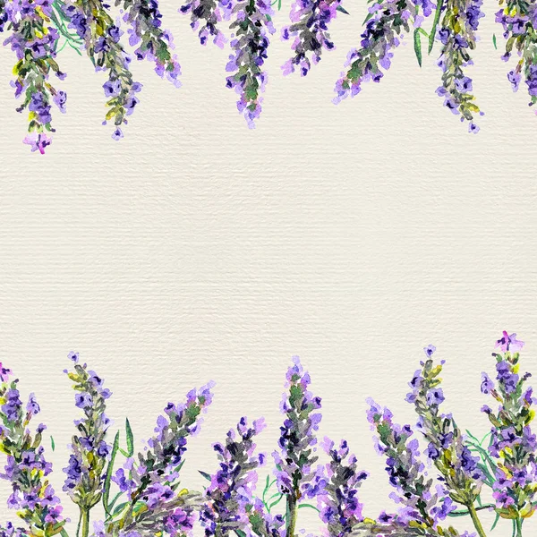 Lavendel blommor. Akvarell gränsen — Stockfoto