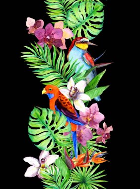 Tropikal, egzotik kuş, orkide çiçek bırakır. Sorunsuz sınır. Suluboya şerit