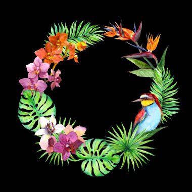 Tropikal, egzotik kuşlar, orkide çiçek bırakır. Orman çelenk. Suluboya