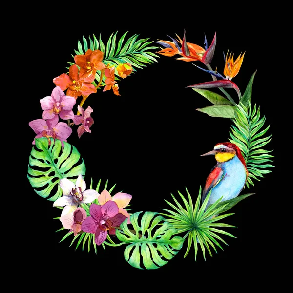 Hojas tropicales, aves exóticas, flores de orquídeas. Corona de la selva. Acuarela — Foto de Stock