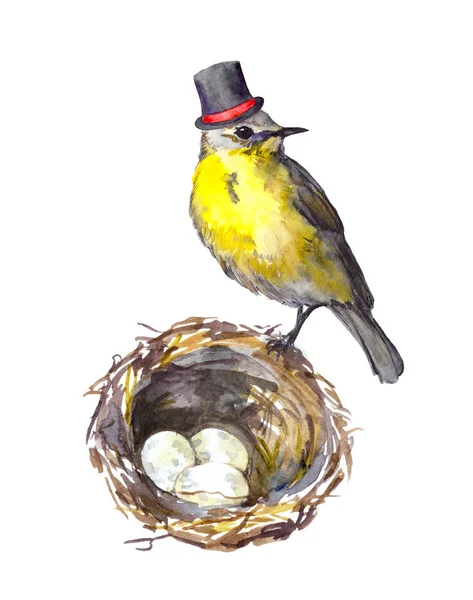 Ilustração do dia dos pais. Pássaro vintage em chapéu alto no ninho com ovos. Aquarela — Fotografia de Stock