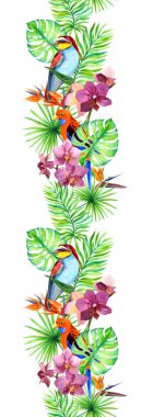 Tropikal, egzotik kuş, orkide çiçek bırakır. Sorunsuz sınır. Suluboya şerit