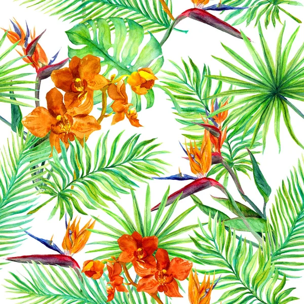 Tropical forest leaves, exotic flowers - wild orchid, bird flower. Seamless pattern. Watercolor — Stock Photo, Image