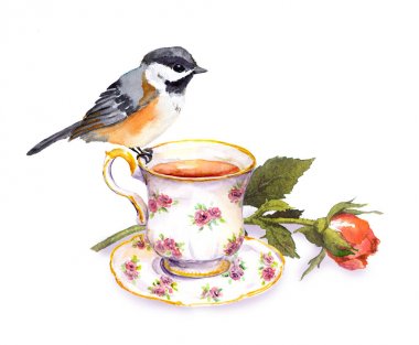 Çay Kupası ve gül çiçek küçük suluboya kuş el çekilmiş