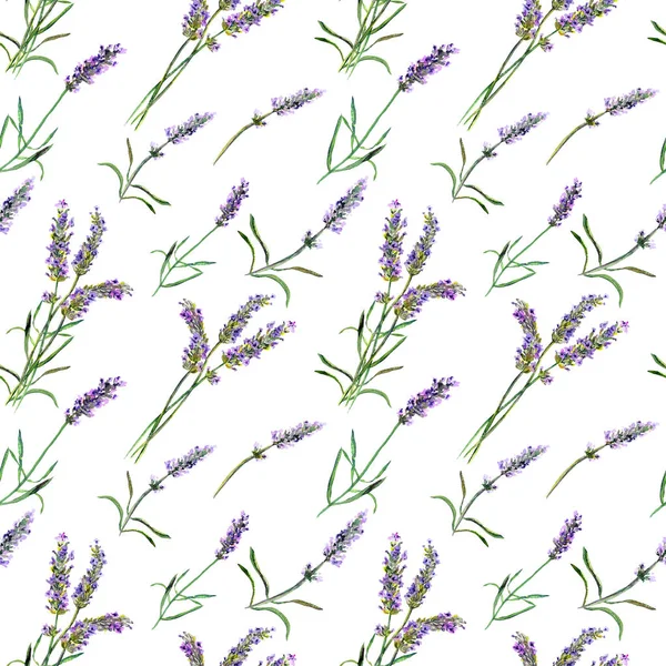 Lavender flowers. Watercolor — Stock Photo, Image