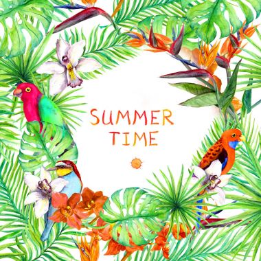 Tropikal orman yaprakları, egzotik çiçekler, papağan kuş. Yaz kartı veya poster tasarımı. Suluboya