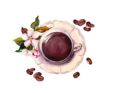 Kahve, çiçek, kahve çekirdekleri fincan. Suluboya.
