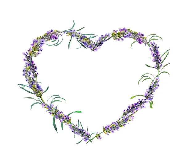 Levendula virágot. Akvarell virágos szív képkeret — Stock Fotó