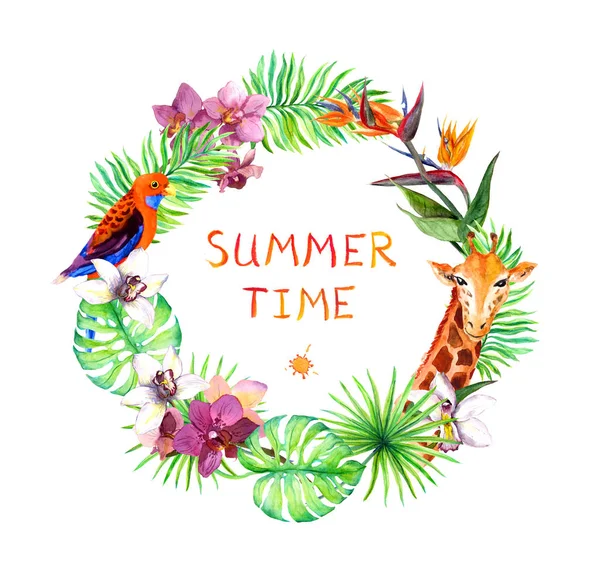 Tropikal yaprak, zürafa hayvan, kuş, orkide çiçek papağan. Çelenk çerçeve. Suluboya